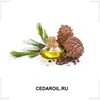 CEDAROIL.RU