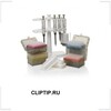 CLIPTIP.RU