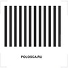 POLOSCA.RU